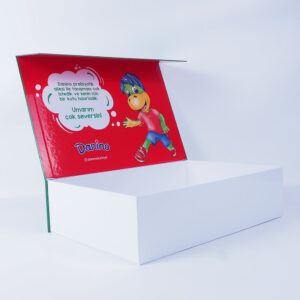 danino brand cardboard box design3