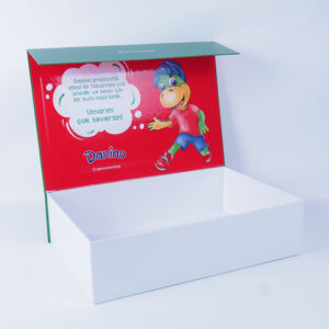 danino brand cardboard box design5