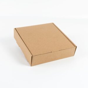 kraft pizza micro box 20cm-20cm-5cm