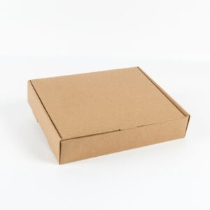 kraft pizza micro box 25cm-20cm-5cm