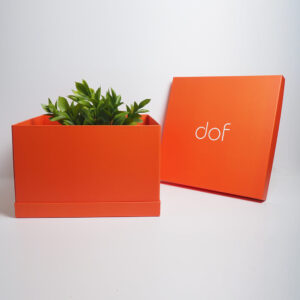 dof marka hediye kutusu tasarımı3